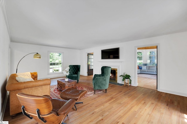 living room with light hardwood / wood-style floors and ornamental molding