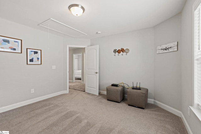 living area featuring carpet floors