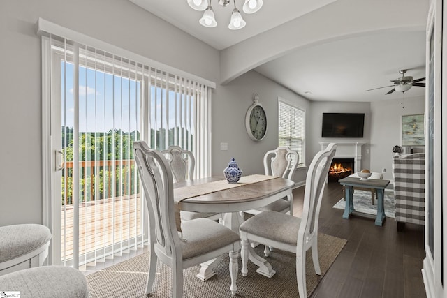 dining room featuring ceiling fan and dark wood-type flooring