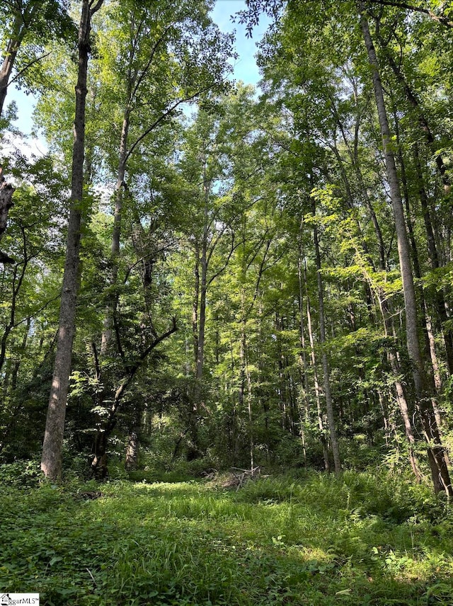 view of local wilderness