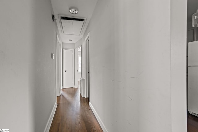 hall with dark hardwood / wood-style floors