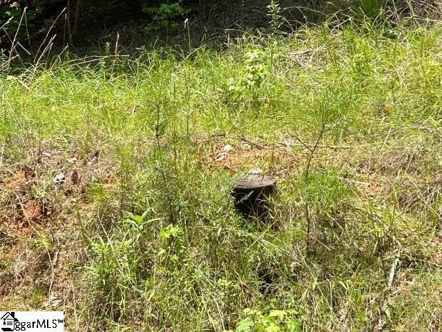 Listing photo 3 for 0 Blue Ridge Ct Lot 81, Westminster SC 29693