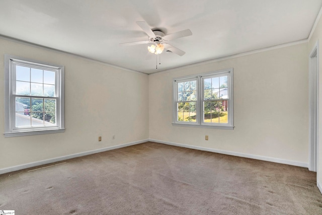 unfurnished room featuring crown molding, a healthy amount of sunlight, light colored carpet, and ceiling fan