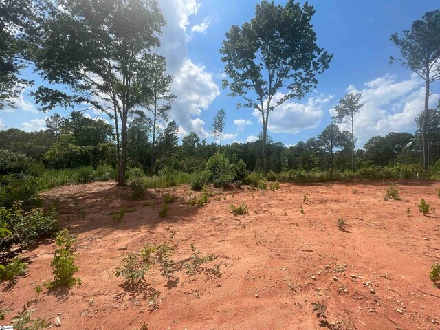 761 Casey Rd, Woodruff, SC 29388