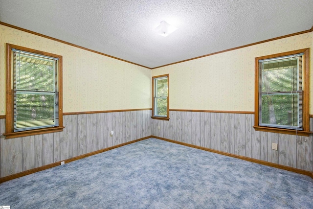 unfurnished room with carpet