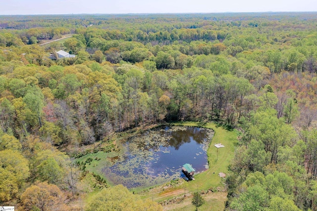 1805 Fairview Rd, Fountain Inn, SC 29644