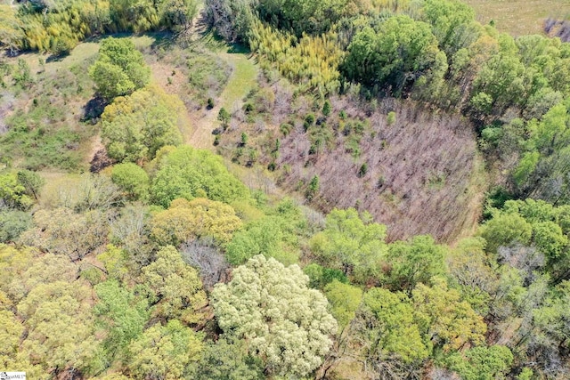 1805 Fairview Rd, Fountain Inn, SC 29644