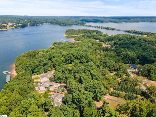 bird's eye view featuring a water view and a forest view