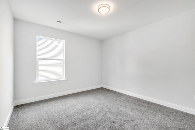 spare room featuring carpet and plenty of natural light