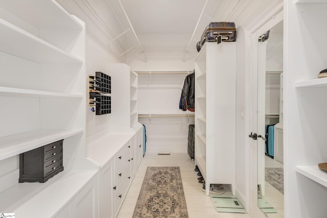 view of spacious closet