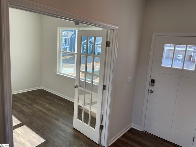 entrance foyer featuring plenty of natural light and dark hardwood / wood-style floors