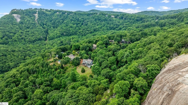 birds eye view of property featuring a wooded view