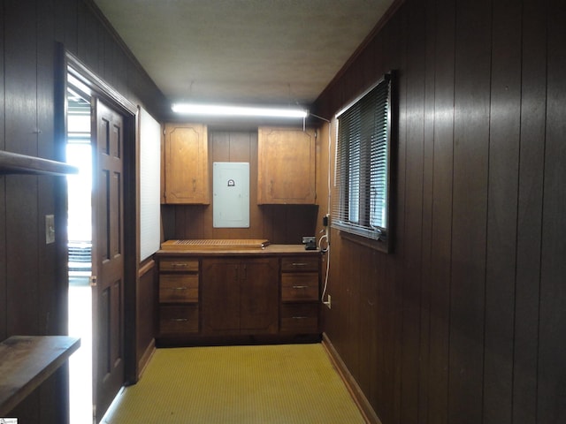 kitchen with plenty of natural light, light colored carpet, and wood walls