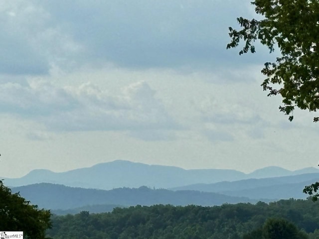 view of mountain feature