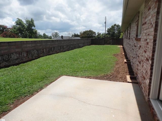 view of yard featuring a patio