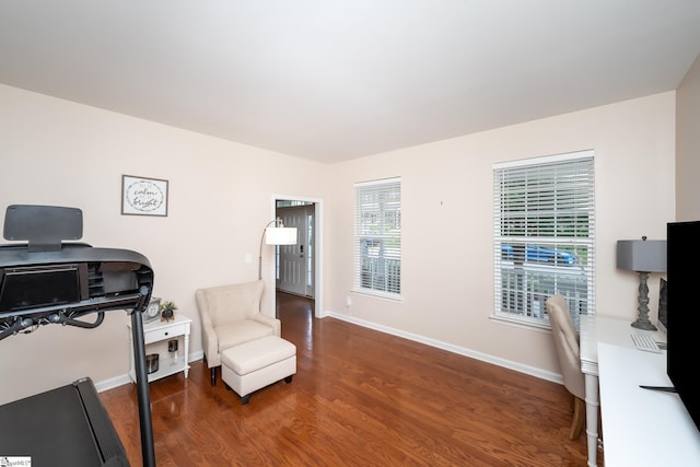 office featuring dark hardwood / wood-style flooring