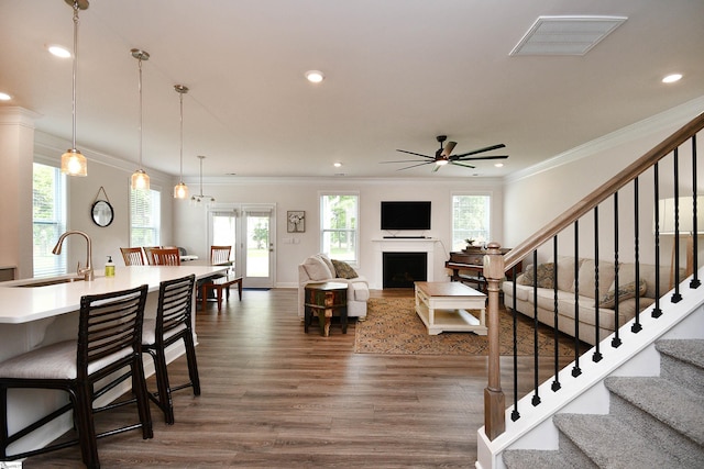 living room featuring sink, crown molding, dark hardwood / wood-style floors, and ceiling fan