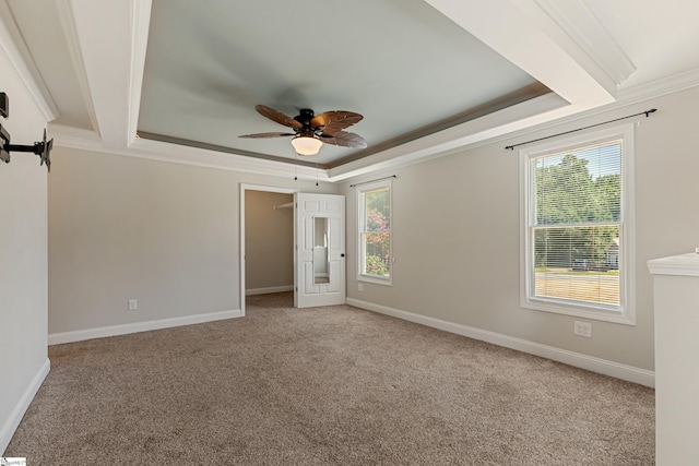 unfurnished bedroom with crown molding, ceiling fan, a tray ceiling, and carpet floors