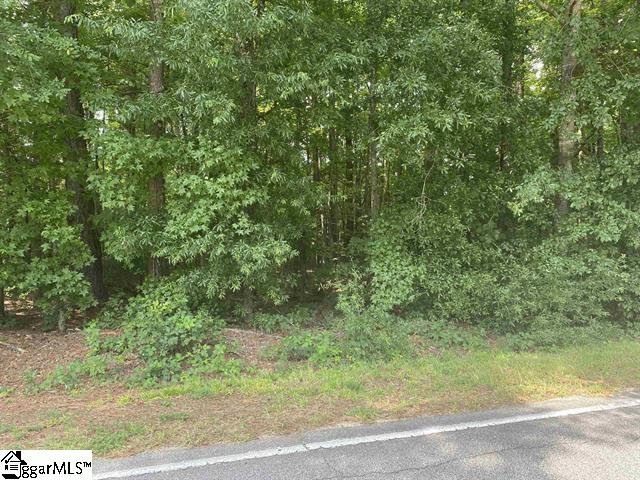 Carolyn Dr, Clinton SC, 29325 land for sale