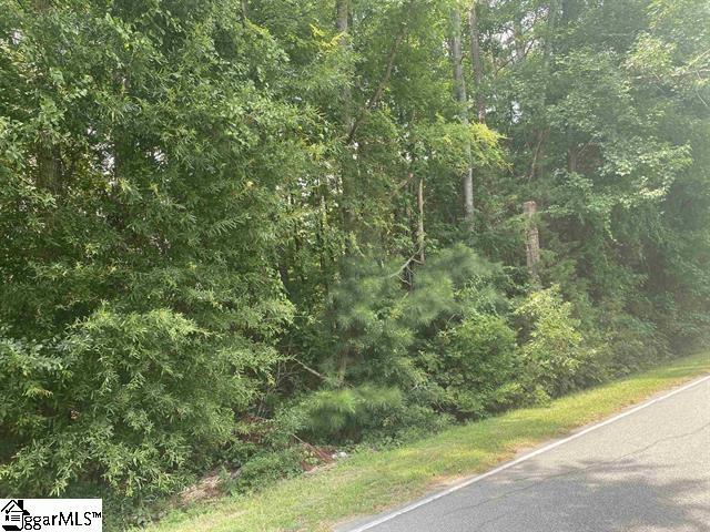 Carolyn Dr, Clinton, SC 29325