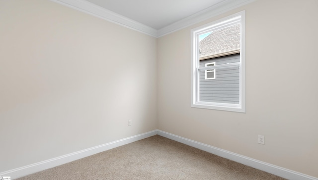 carpeted spare room with ornamental molding, a healthy amount of sunlight, and baseboards