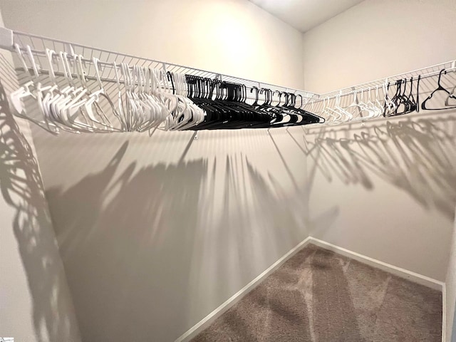 walk in closet featuring lofted ceiling and carpet