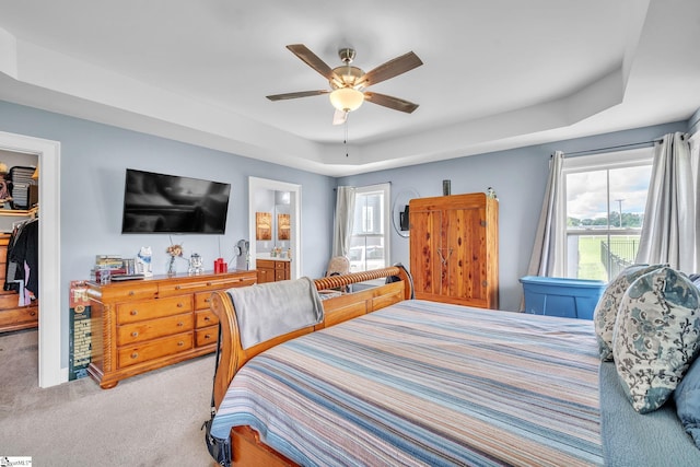 bedroom with a raised ceiling, a spacious closet, multiple windows, and carpet flooring