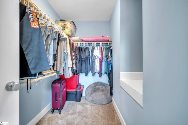 spacious closet featuring carpet floors