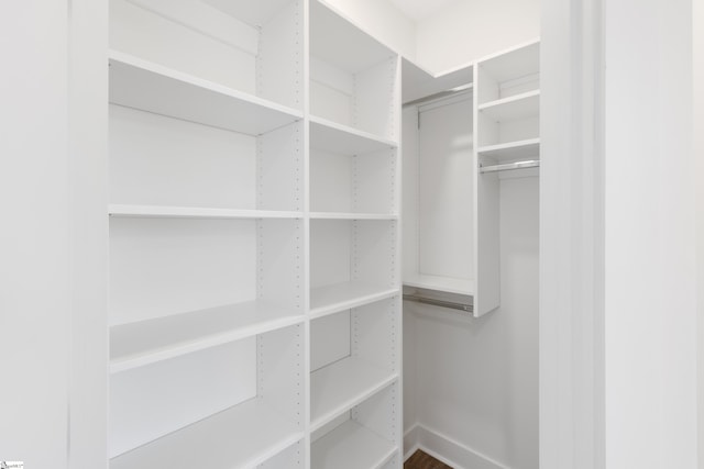 view of walk in closet