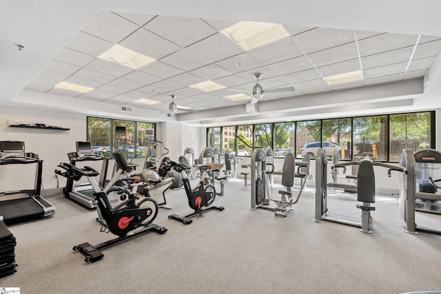 gym with a paneled ceiling and a wealth of natural light