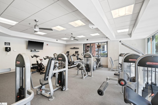 gym featuring a drop ceiling, carpet flooring, and ceiling fan