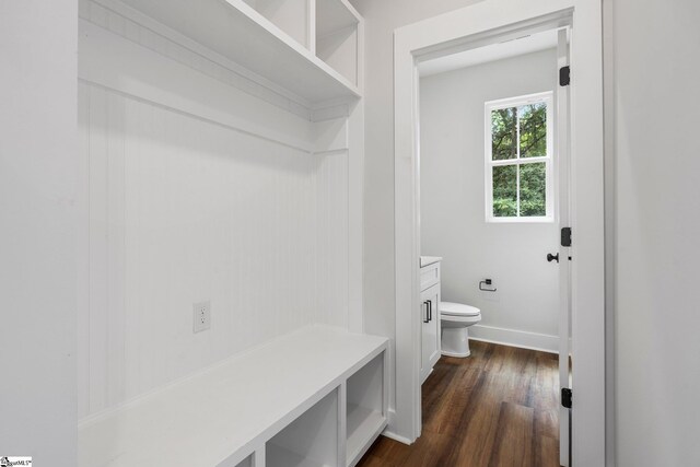 mudroom with dark hardwood / wood-style floors