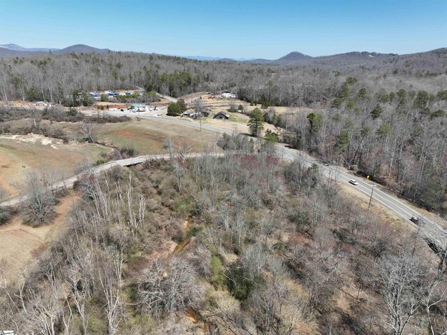 4000 Moorefield Memorial Hwy, Pickens, SC 29671