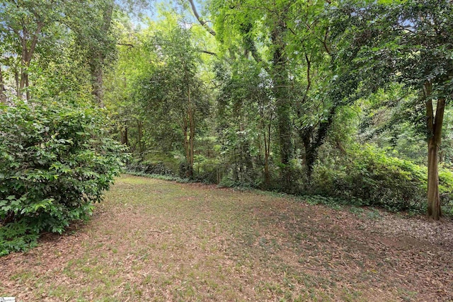 view of yard with a view of trees