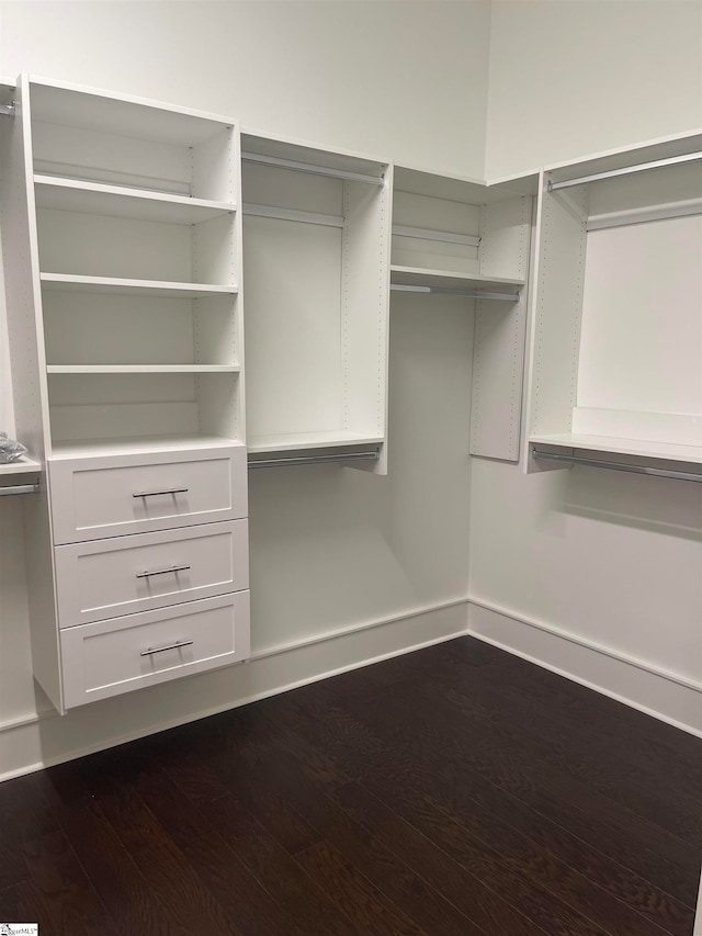 spacious closet featuring dark hardwood / wood-style flooring