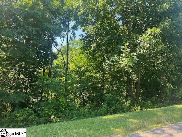 115 Cherokee Rose Trl, Marietta, SC 29661