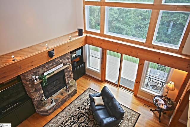 living room with light hardwood / wood-style floors, a fireplace, and plenty of natural light