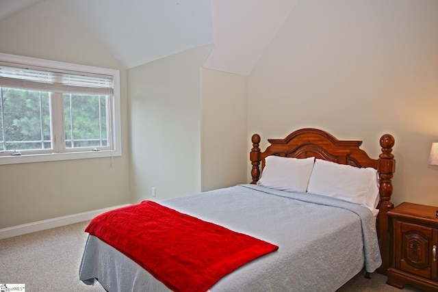 302 Meadowlark Ln, Seneca, SC 29672 - bedroom with baseboards, vaulted ceiling, and carpet floors
