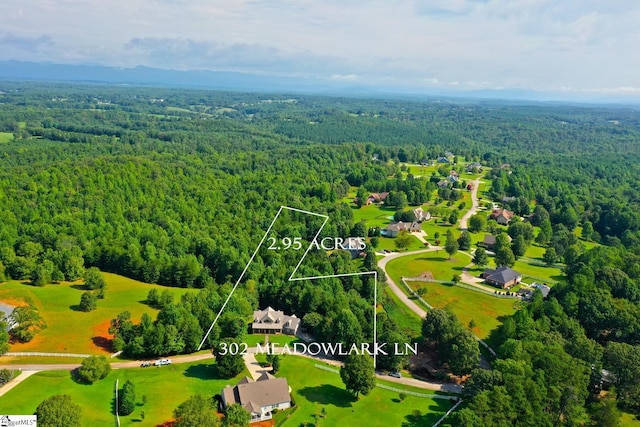 302 Meadowlark Ln, Seneca, SC 29672 - birds eye view of property featuring a view of trees
