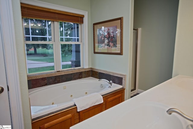 bathroom with a washtub and a wealth of natural light