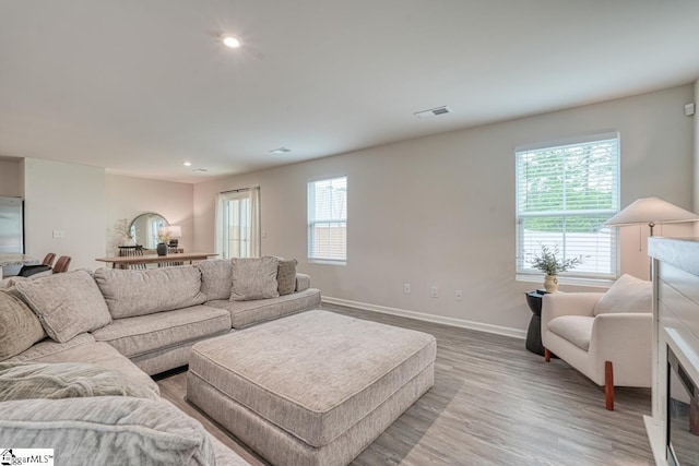 living room featuring light wood-type flooring and a wealth of natural light