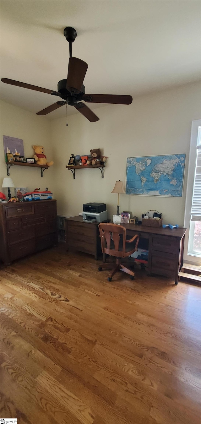 interior space featuring wood-type flooring and ceiling fan