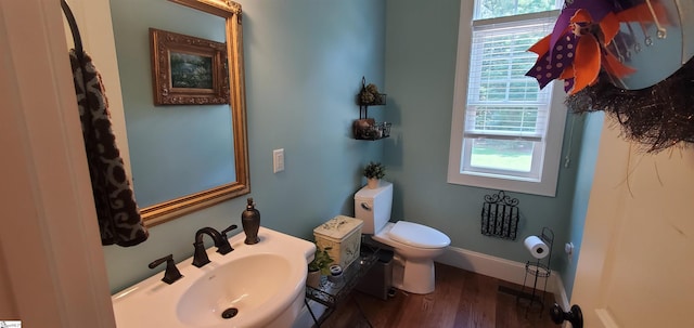 bathroom with sink, toilet, a healthy amount of sunlight, and hardwood / wood-style flooring