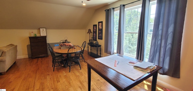 interior space featuring wood-type flooring and vaulted ceiling