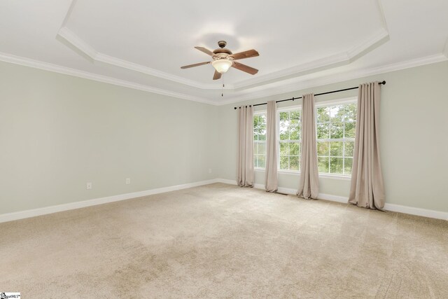 unfurnished room featuring light colored carpet, a raised ceiling, and ceiling fan