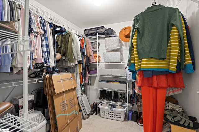 spacious closet featuring carpet flooring