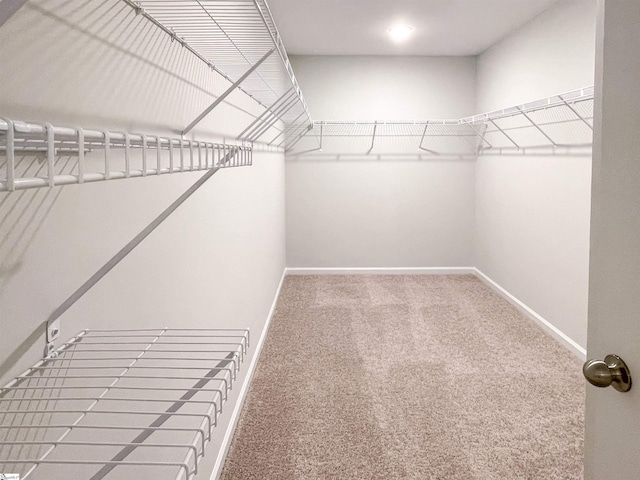 walk in closet with carpet