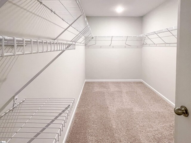 walk in closet featuring carpet flooring