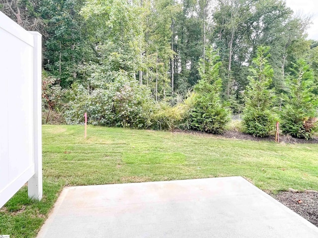 view of yard featuring a patio area