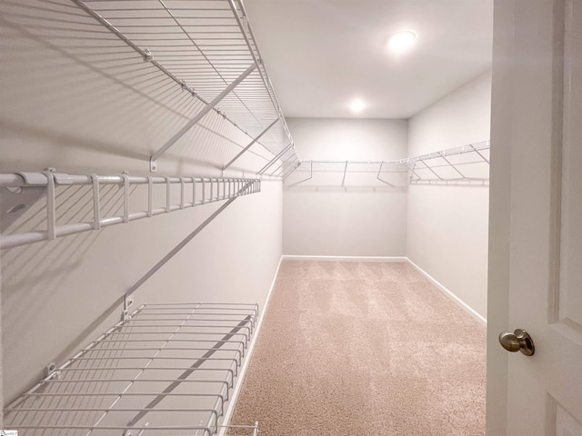 walk in closet featuring carpet floors